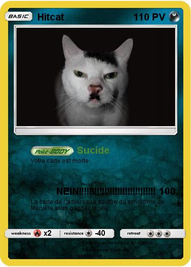 Pokemon Hitcat