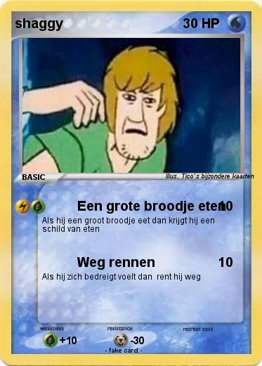 Pokemon shaggy