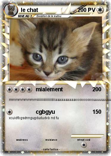 Pokemon le chat
