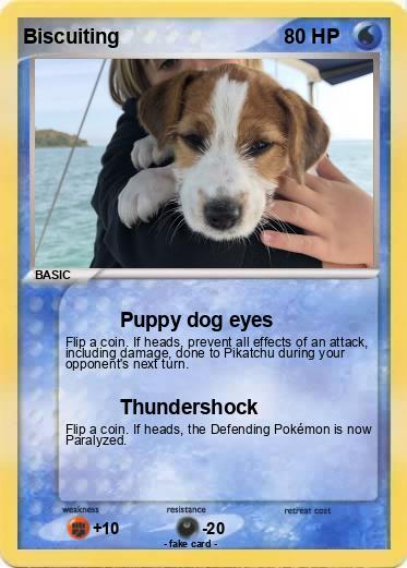 Pokemon Biscuiting