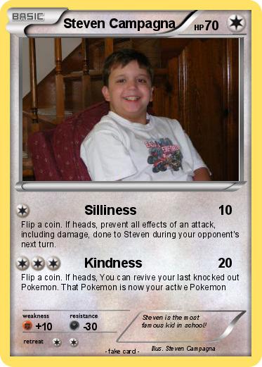 Pokemon Steven Campagna