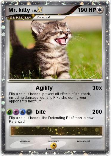 Pokemon Mr. kitty