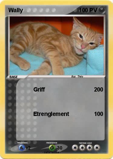Pokemon Wally