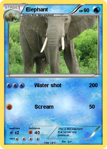 Pokemon Elephant