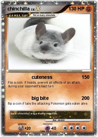 Pokemon chinchilla