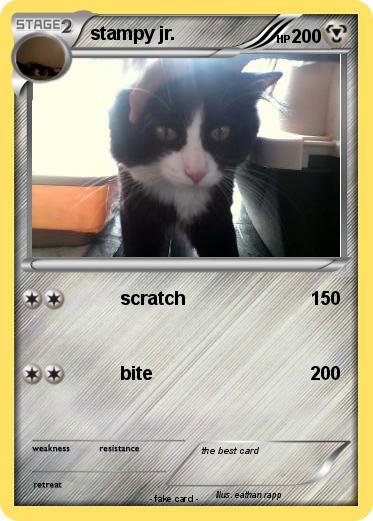 Pokemon stampy jr.