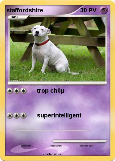 Pokemon staffordshire