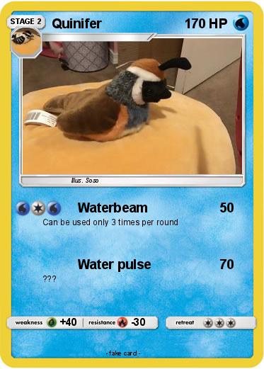 Pokemon Quinifer