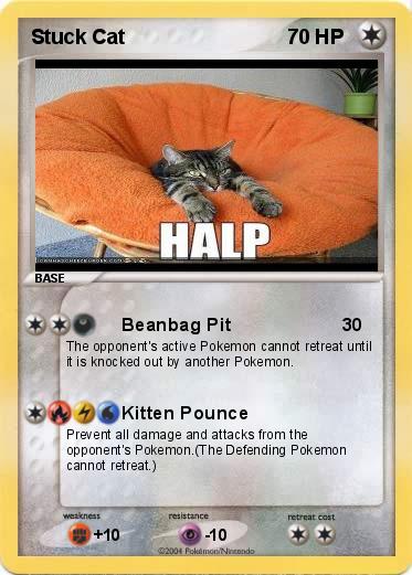 Pokemon Stuck Cat