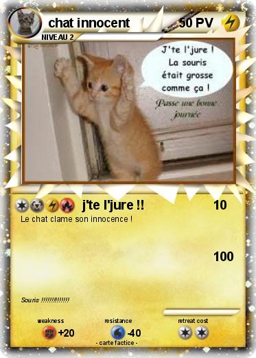 Pokemon chat innocent