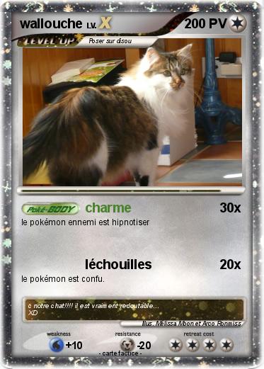 Pokemon wallouche