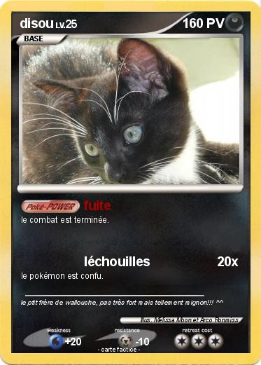 Pokemon disou