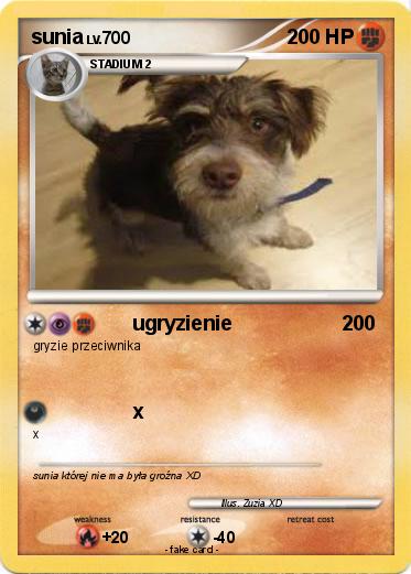 Pokemon sunia