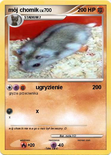 Pokemon mój chomik