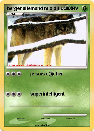 Pokemon berger allemand mix dit LOL !!!