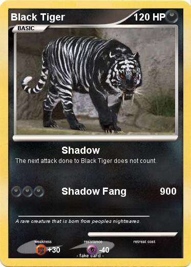 Pokemon Black Tiger