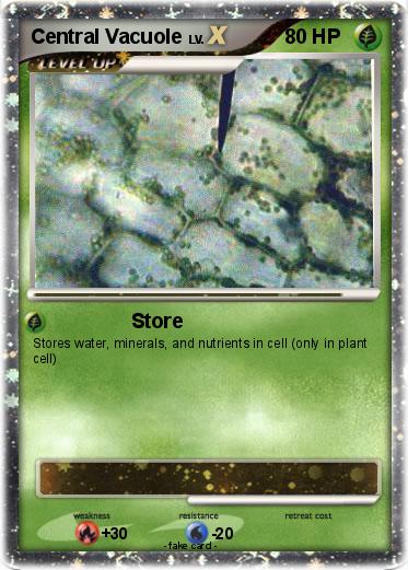 Pokemon Central Vacuole