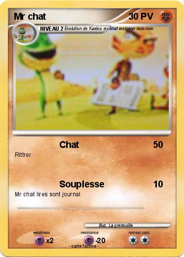 Pokemon Mr chat