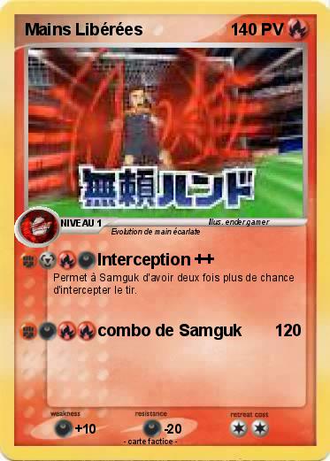 Pokemon Mains Libérées