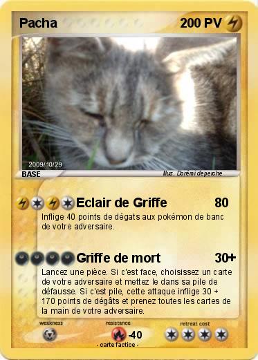 Pokemon Pacha