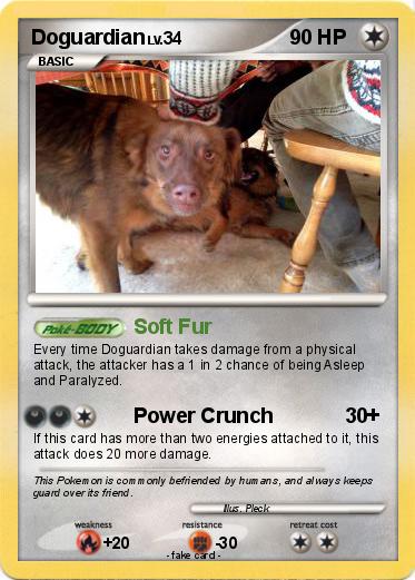 Pokemon Doguardian