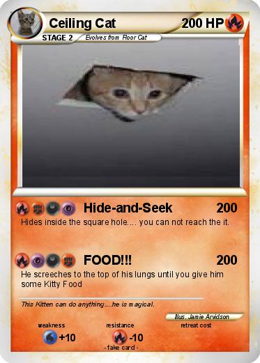 Pokemon Ceiling Cat