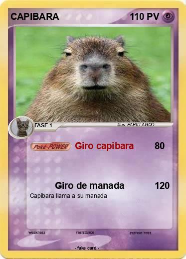 Pokemon CAPIBARA