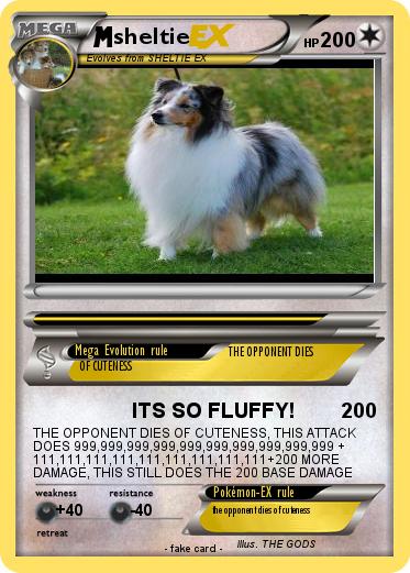 Pokemon sheltie