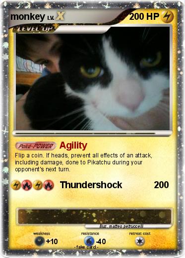 Pokemon monkey