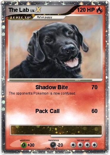 Pokemon The Lab