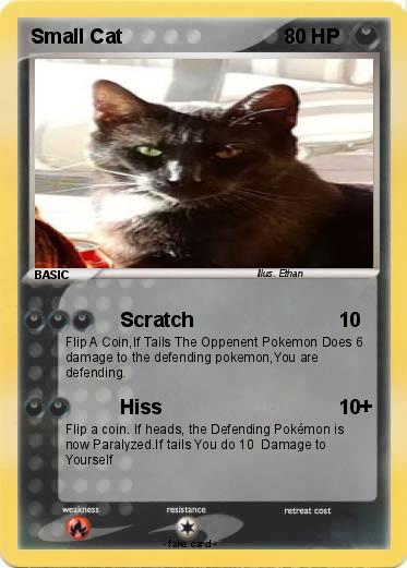 Pokemon Small Cat