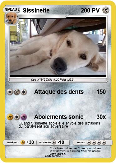 Pokemon Sissinette