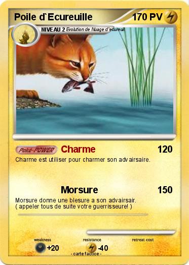 Pokemon Poile d`Ecureuille