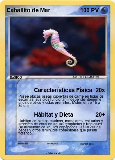 Pokemon Caballito de Mar