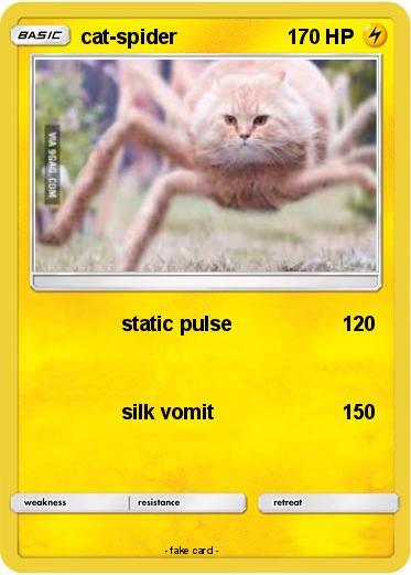 Pokemon cat-spider