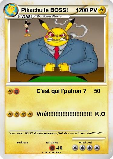 Pokemon Pikachu le BOSS!     1