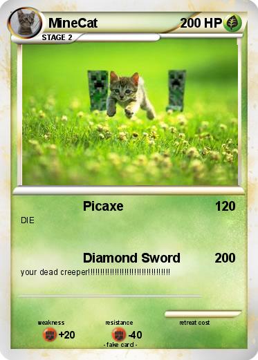 Pokemon MineCat