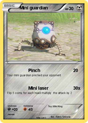 Pokemon Mini guardian