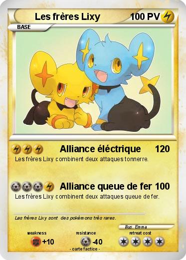 Pokemon Les frères Lixy