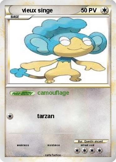 Pokemon vieux singe