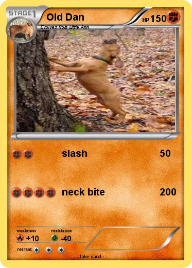 Pokemon Old Dan