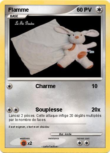 Pokemon Flamme