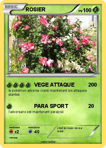 Pokemon ROSIER
