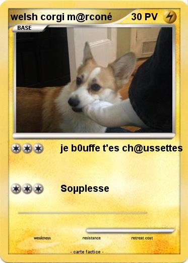 Pokemon welsh corgi m@rconé