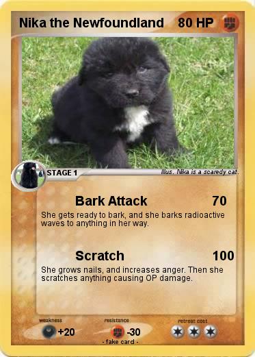 Pokemon Nika the Newfoundland