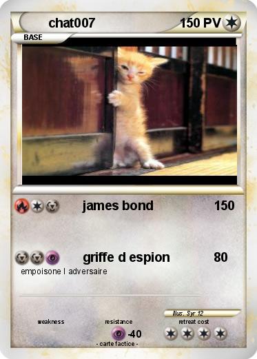 Pokemon chat007