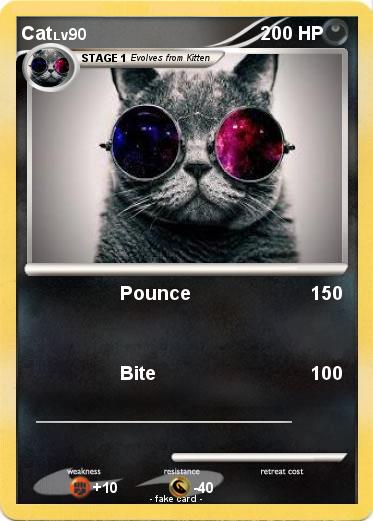 Pokemon Cat