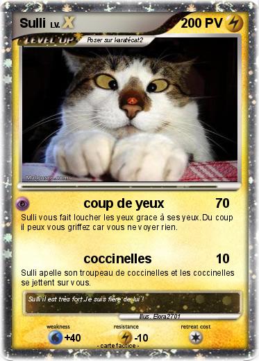 Pokemon Sulli