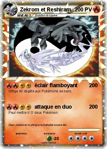 Pokemon Zekrom et Reshiram