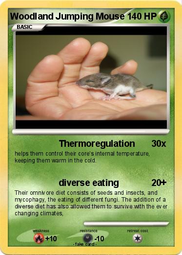 Pokemon Woodland Jumping Mouse